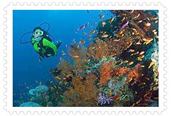 scuba-diving-goa